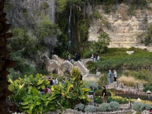 Japanese Tea Garden: A Tranquil Oasis Amidst the City
