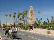 11 Unmissable Things to Do in Marrakech, Morocco’s Red City