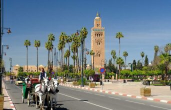 11 Unmissable Things to Do in Marrakech, Morocco’s Red City